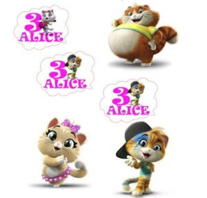 44 Gatti Magneti Personalizzabili con nome ed età Set da 10 Pz