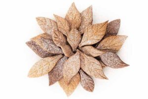 VOILA' COOKIE - LEAVES - FORMABISCOTTI FOGLIE SILIKOMART PROFESSIONAL