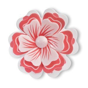 PRIMULA MONTATA WF FANTASIA ROSSA