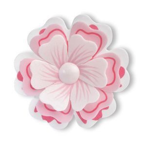 PRIMULA MONTATA WF FANTASIA ROSA