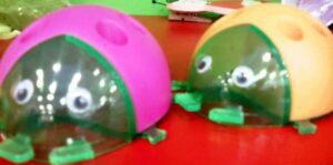 TEMPERAMATITE  COCCINELLA