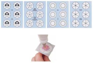 GUIDE PER FIORI DI GHIACCIA