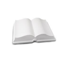 LIBRO IN POLISTIROLO CM 20X30 CM