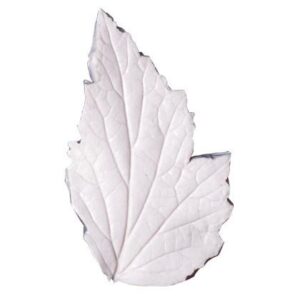 SK Great Impressions Veiner Foglia Anemone Giapponese Biloba