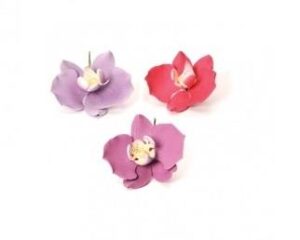 ORCHIDEA PHALENOPSI GLICINE/FUCSIA/VIOLET