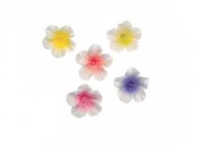 AZALEA IN ZUCCHERO C/CENTRO PESCA