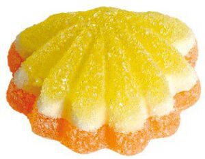 CONCHIGLIA AGRUMI ZUCCHERATA