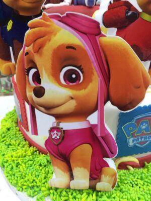 SKYE  DEI PAW PATROL feste Decorazioni