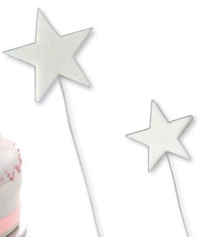 Stelle Bianche con stecchno