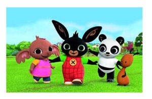 CIALDA SU OSTIA BING RETTANGOLARE