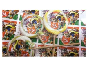 20 LECCA LECCA 44 GATTI CON BOLLINO PERSONALIZZATO