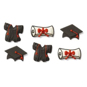 SET 6 DECORAZIONI LAUREA IN ZUCCHERO