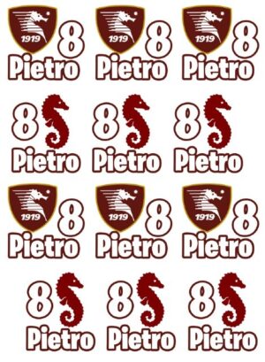 12 ADESIVI SAGOMATI SALERNITANA PERSONALIZZABILI