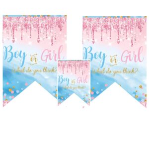 Festone Sagomato Gender Reveal