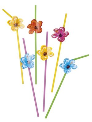 6 cannucce colorate Hawaii Aloha